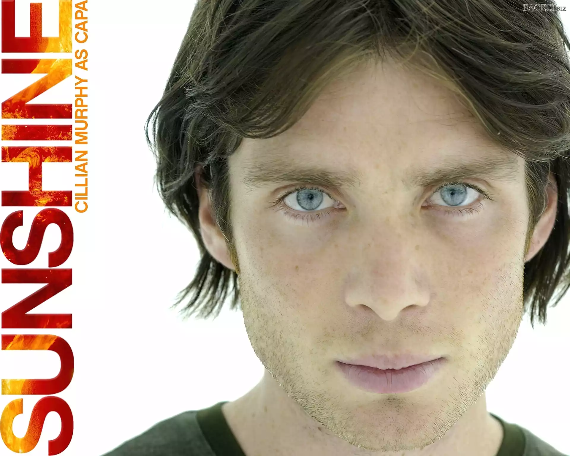 oczy, twarz, napis, Sunshine, Cillian Murphy